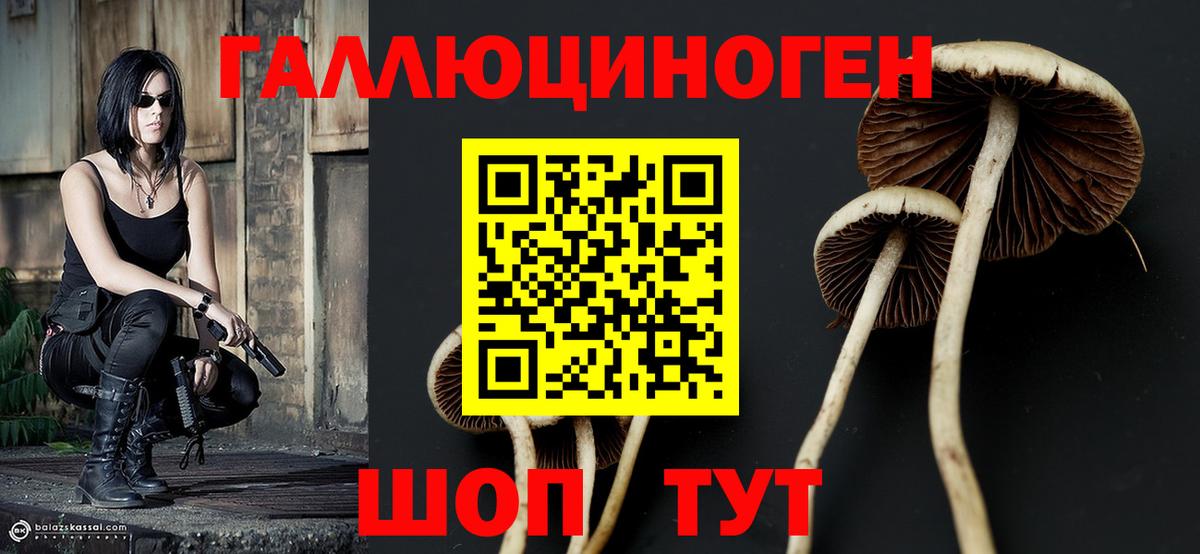 Балашов  Псилоцибиновые грибы мухоморы  Псилоцибиновые грибы MAGIC MUSHROOMS  Вход с VPN 