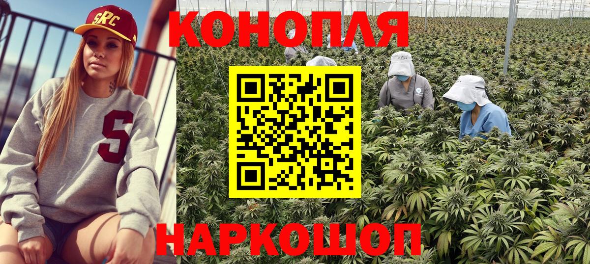 Балашов  Каннабис OG Kush  МАРИХУАНА Amnesia  Шишки марихуана марихуана  Шишки марихуана план  Вход с VPN 